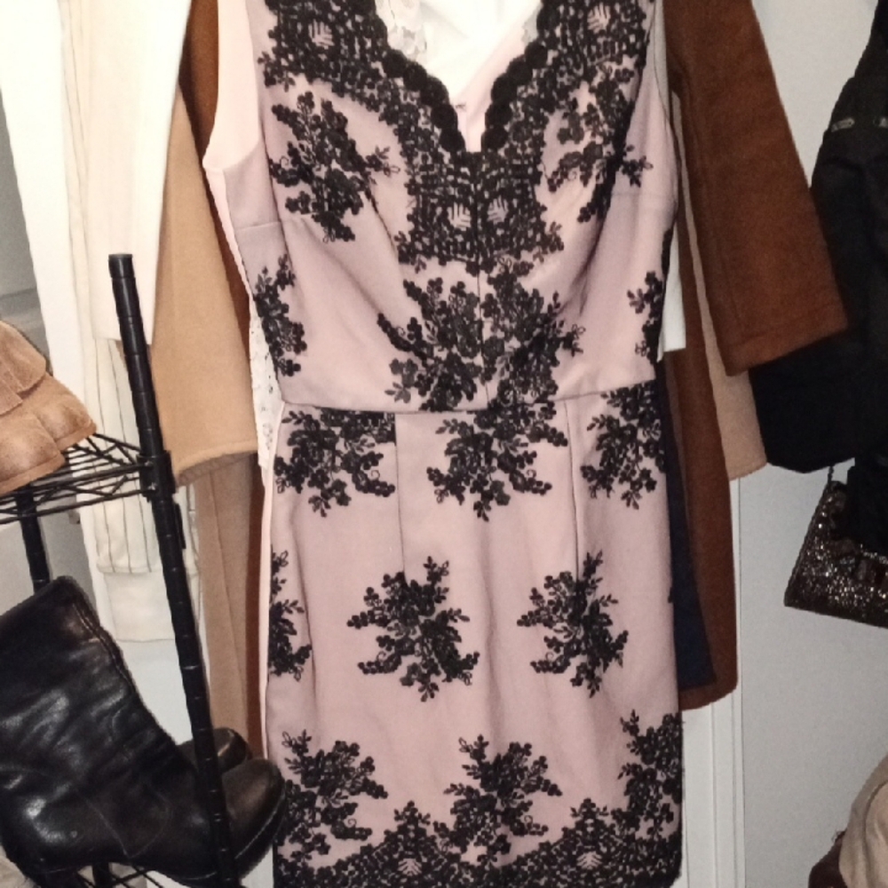 Chic Lace Overlay Mini Dress